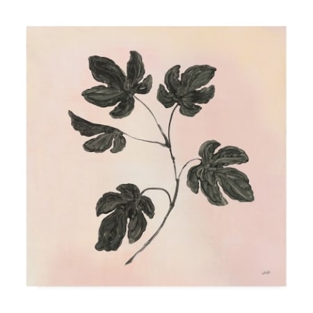 Julia Purinton 'Botanical Study III Blush' Canvas Art,35x35